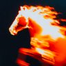 Фото профиля Mehmet Bussone