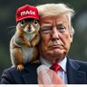 MAGA Squirrel profil fotoğrafı