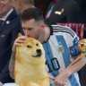 Ben Dogecoin 🇦🇷's profile picture