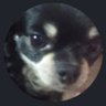 Profilbild von Tendou dog