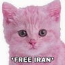 Profilbild von HoloCat
