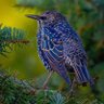 Фото профиля Jay Knight