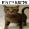 还没有很想死 profil fotoğrafı