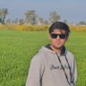 Profilbild von Abeer Hassan