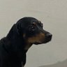 chuka profil fotoğrafı