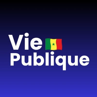 Vie Publique SN's profile picture