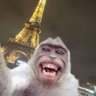 Jaison profil fotoğrafı