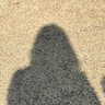 Januari's profile picture