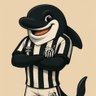 Фото профиля Silva CB - Santos, sempre Santos