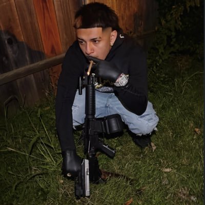 Fox5draco's profile picture