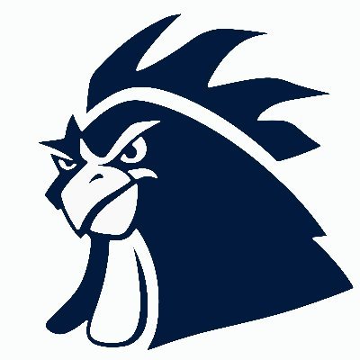GalloNegroLives's profile picture