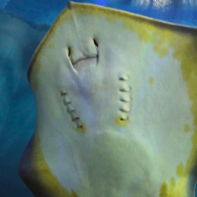 Floydyossy's profile picture