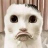 りんね 的头像