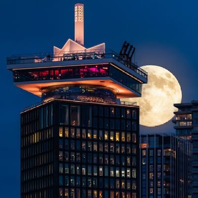 Business660608's profile picture