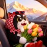 suncy profil fotoğrafı