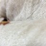 あとの祭 的头像