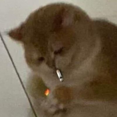 ꇙ꒐ꋊꍌ꒒ꏂ™'s profile picture