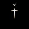Vico's profile picture