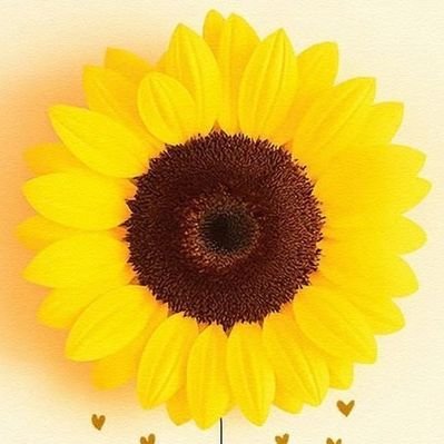 lemonczaeish's profile picture