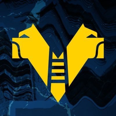 Hellas Verona FC's profile picture