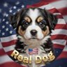 Real Dog 🇺🇸 profil fotoğrafı