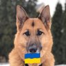 Фото профиля Sassenach🐕🏒🇨🇦