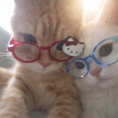 poco's profile picture