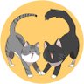 ボンボン ͗🐈🐈‍⬛🐈🐾🐈🐈‍⬛🐈🐾 的头像