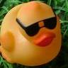 Profilbild von jorge C