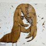 神居(かみい)🕸️🦋's profile picture