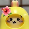 ちゅらうさ🌺 的头像