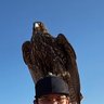 株式会社uniple CEO 鈴木亮市 profil fotoğrafı