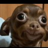 Type Shxt's profile picture
