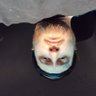 Profilbild von TaeDon Sevi