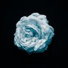 علـــــــــــــي نادر's profile picture