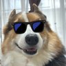 ネイビーꗯ̤̮'s profile picture