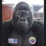 frak's profile picture
