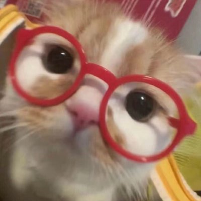 xiao_yang080826's profile picture