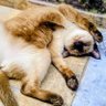 Myllynha ...😝🙃 profil fotoğrafı