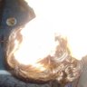 Elly's profile picture