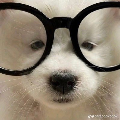 ลอนอ˘ᗜ˘ — (slow)'s profile picture