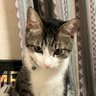 kakamo2992323 profil fotoğrafı