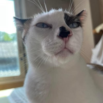 closer | 𝟤𝟪 ᴊᴜʟ : 𝟣ꜱᴛ ᴊɢ ᴄᴏɴᴄᴇʀᴛ's profile picture