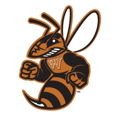 Waynesburg Football's profile picture