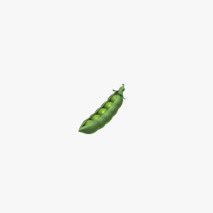 edamameYSMD's profile picture