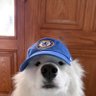 ebere's profile picture