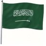 Amer Arbae's profile picture