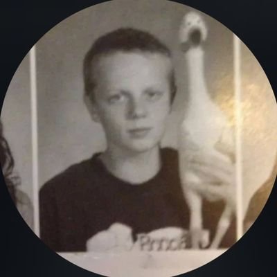 an43327's profile picture