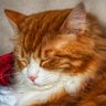 Riley profil fotoğrafı