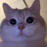 Nara's profile picture